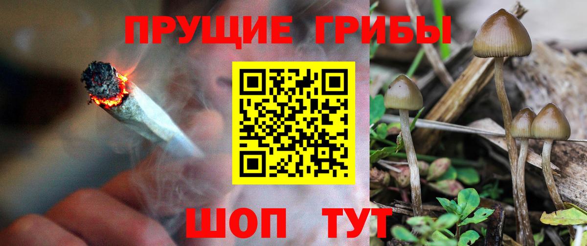 Псилоцибиновые грибы MAGIC MUSHROOMS  Псилоцибиновые грибы прущие грибы  дарнет шоп  Вход с VPN  Северск 